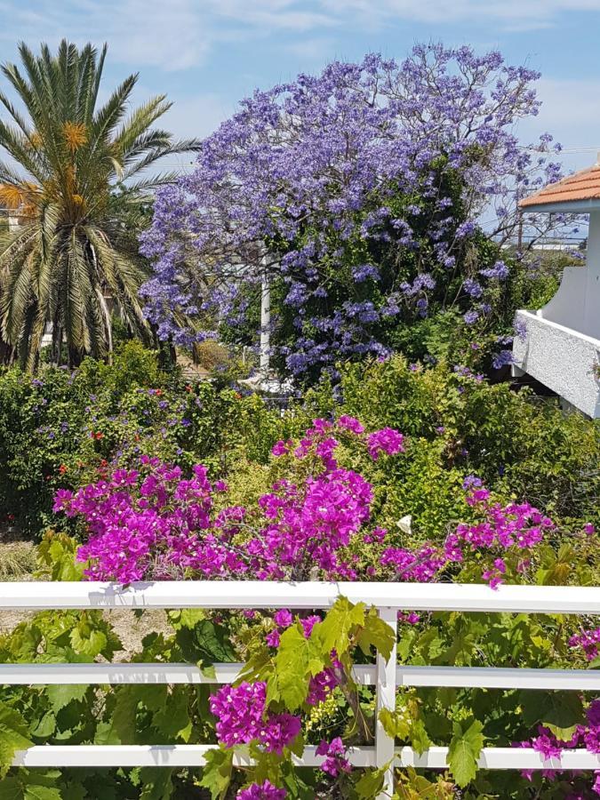 Kalavárda Melina'S Apartments מראה חיצוני תמונה